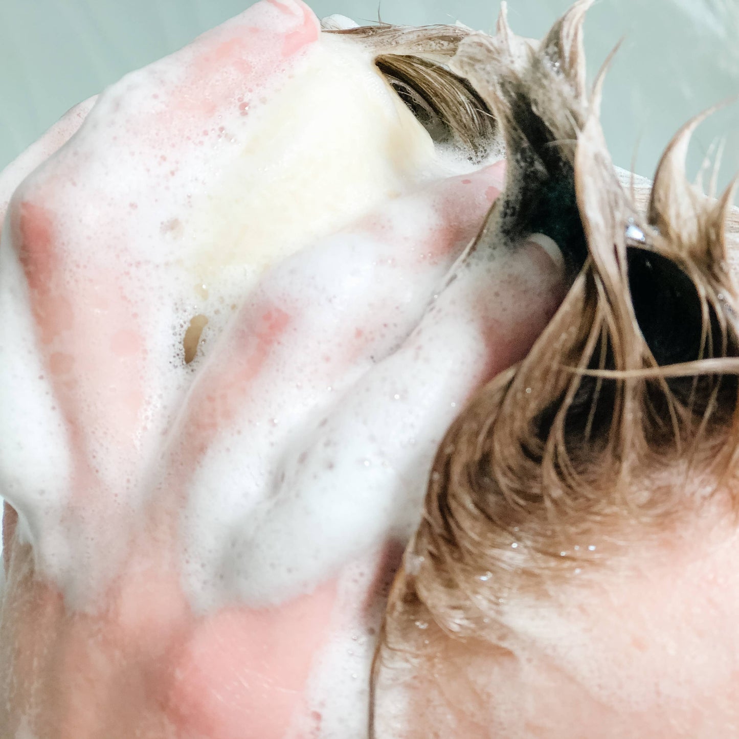 Oat Wash, Olive You, Clairvoyant or Limelight Shampoo Bars