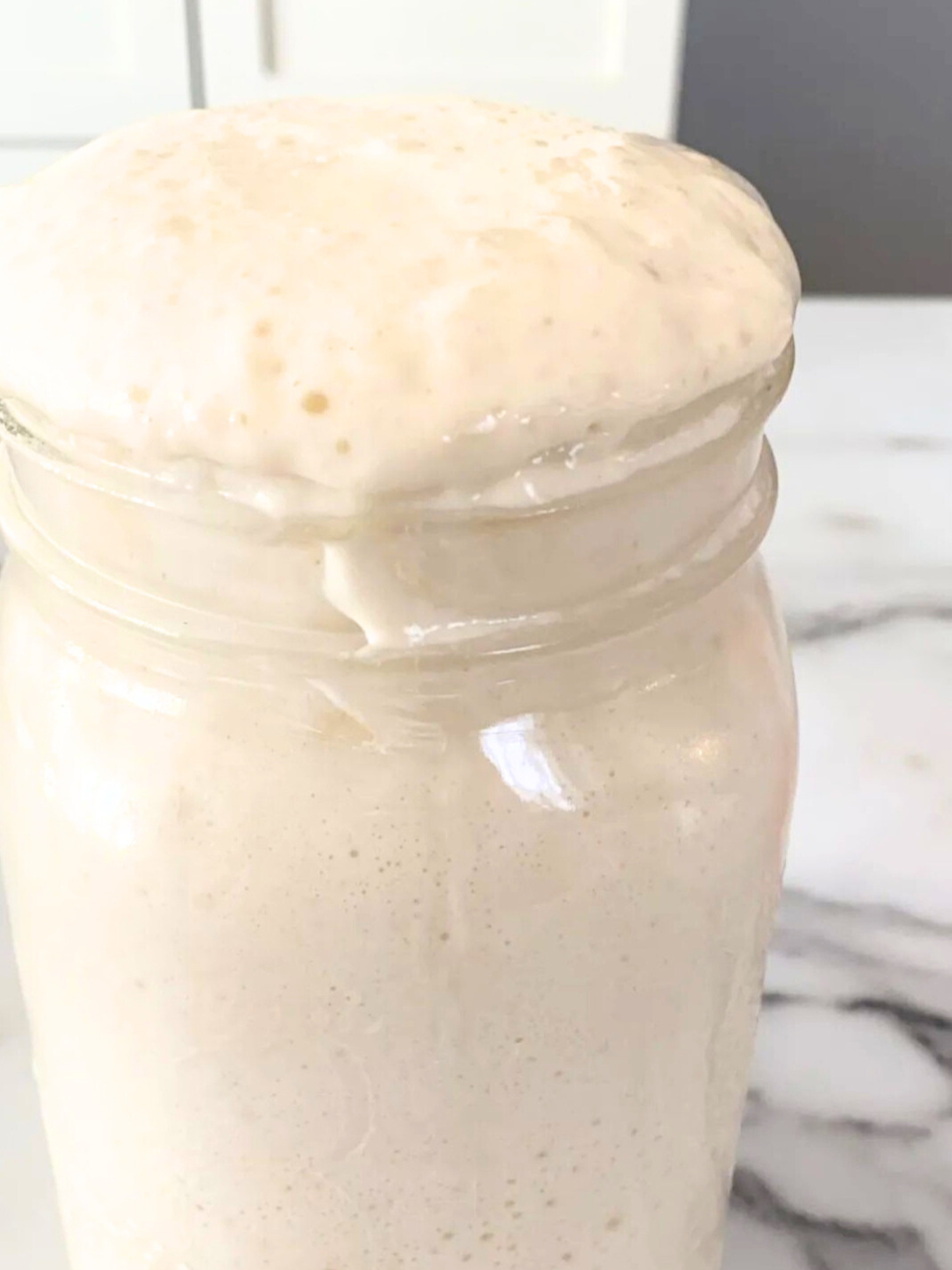 ORGANIC 130 Year Old Summit Sourdough Starter Kit