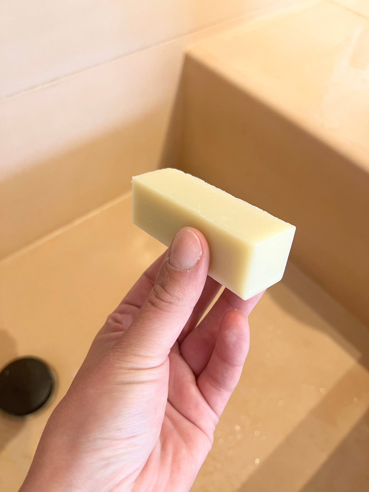 Zero Waste Laundry Stain Stick