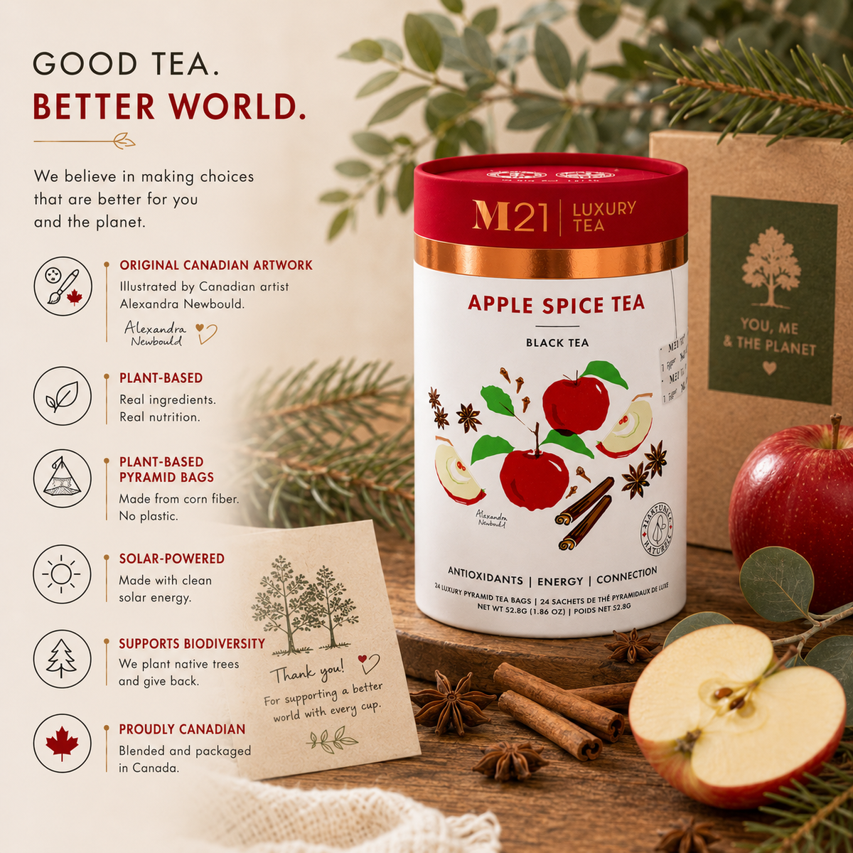 Tega Organic Tea - Apple Spice Luxury Black Tea | Canadian | 24ct