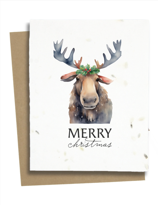 Moose Greeting Cards