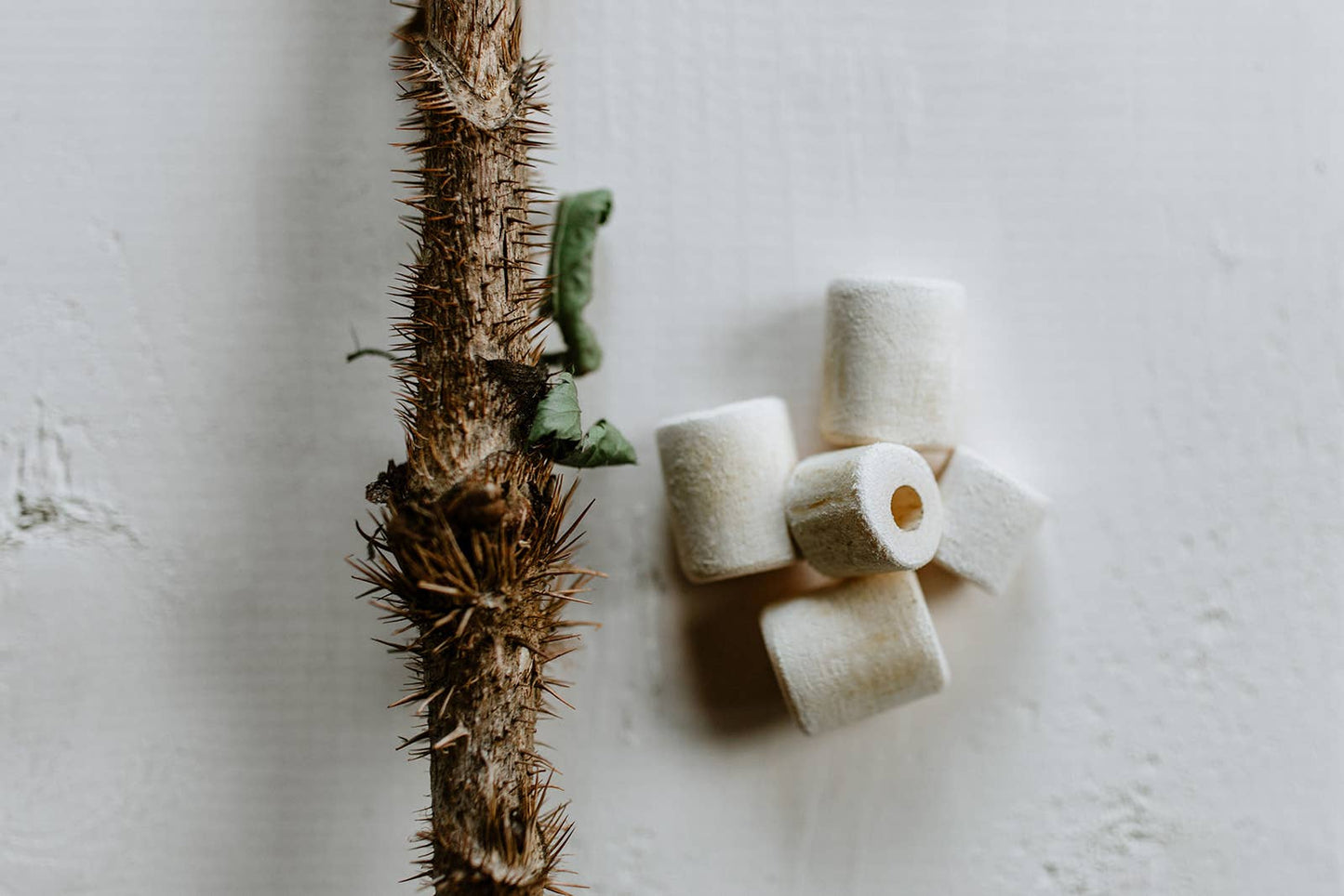 Devils Club Healing Protection Beads