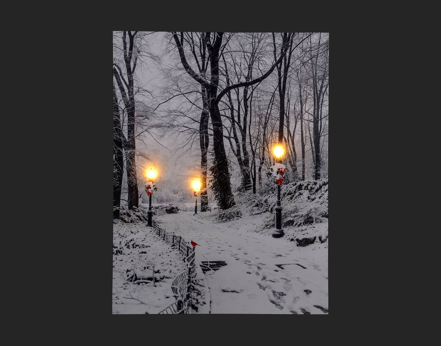 12x16" Canvas w/Winter Path Scene & LED Lights