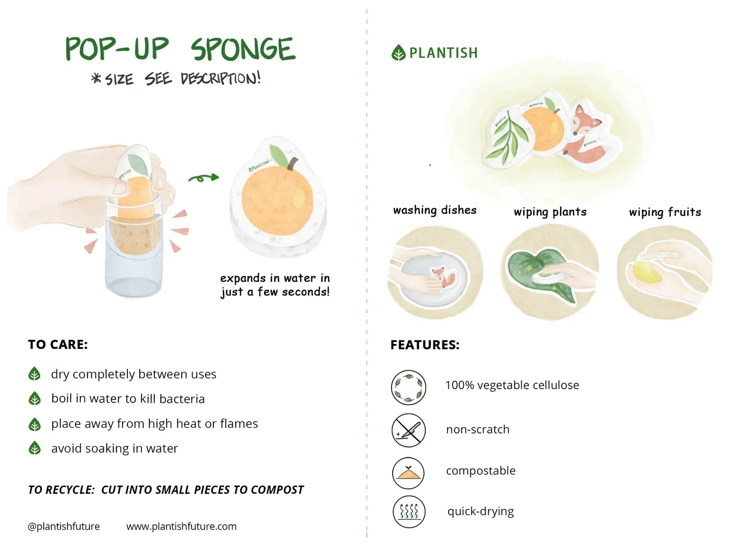 Pop up Sponge