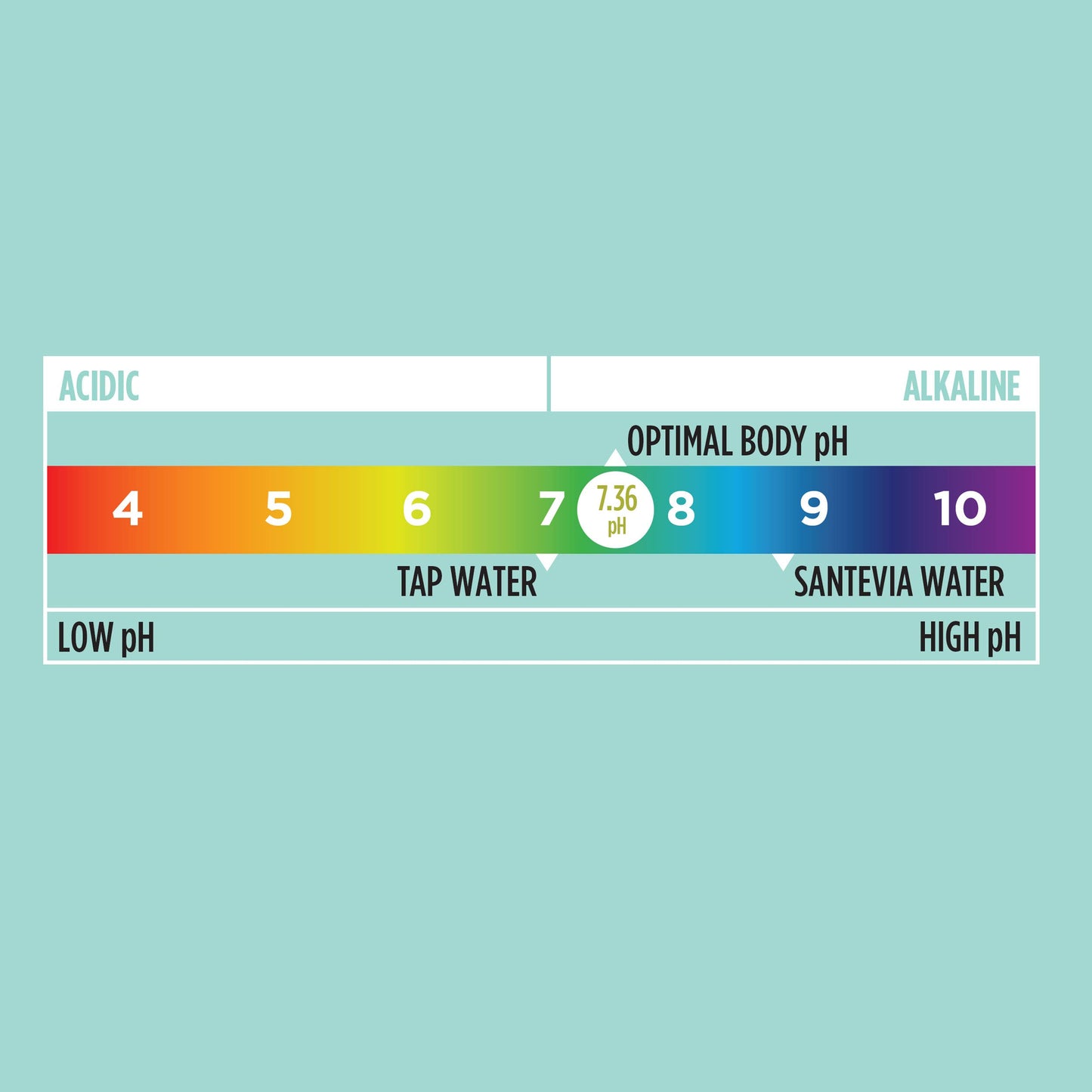 PH Test Kit