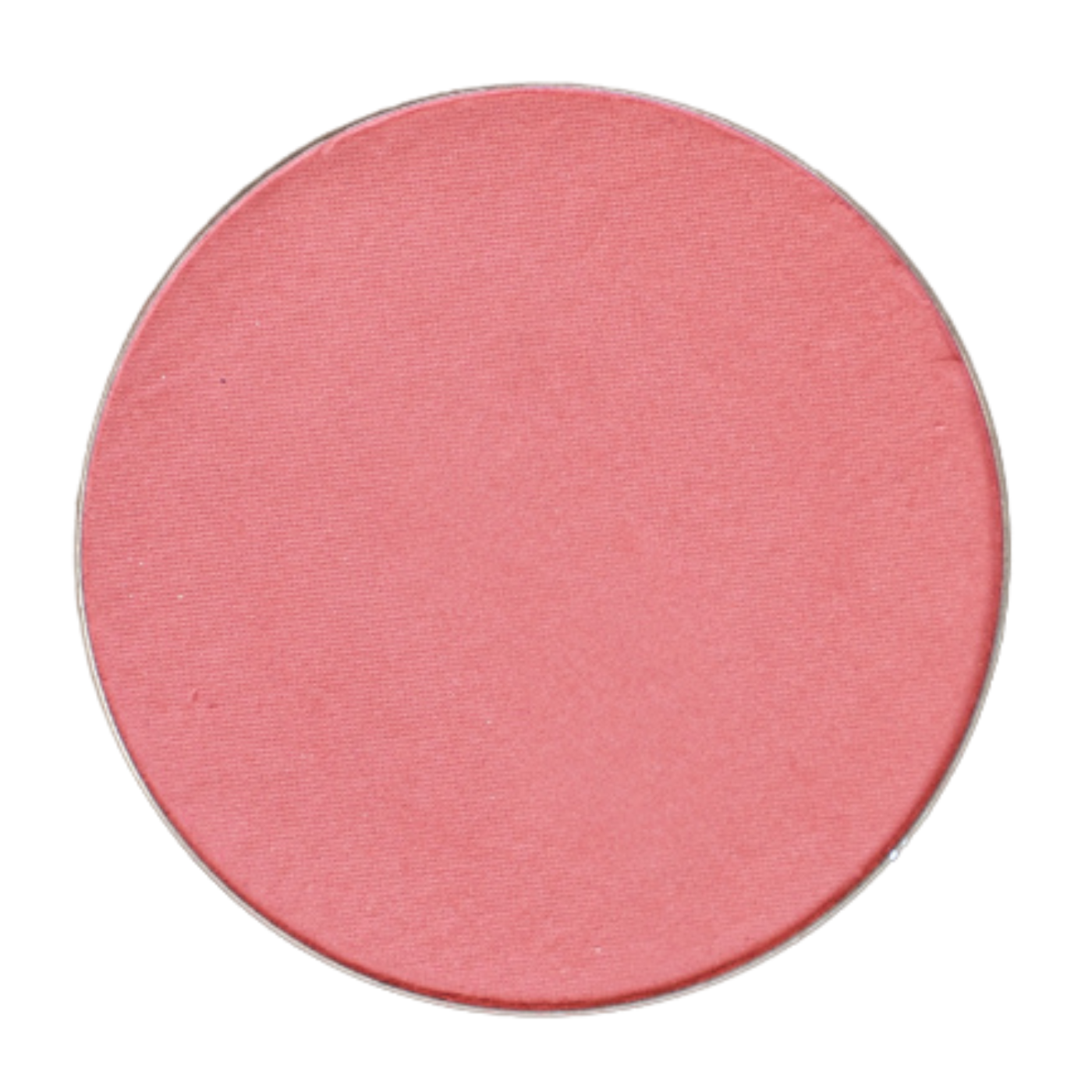 Pressed Blush - Tulip Bloom