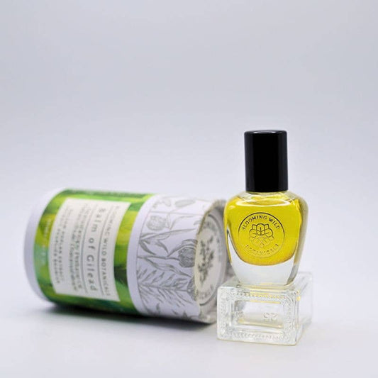 Balm of Gilead | Balsam Poplar