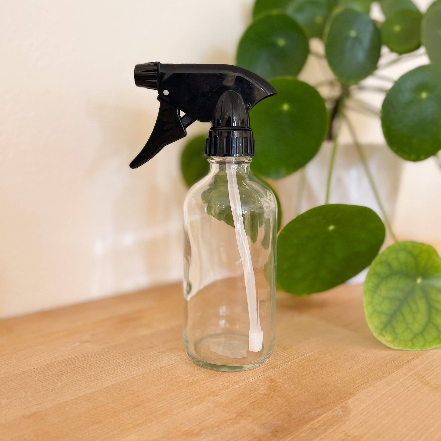 Clear Glass Bottle Spray, Plain or Pump Cap - 8 oz