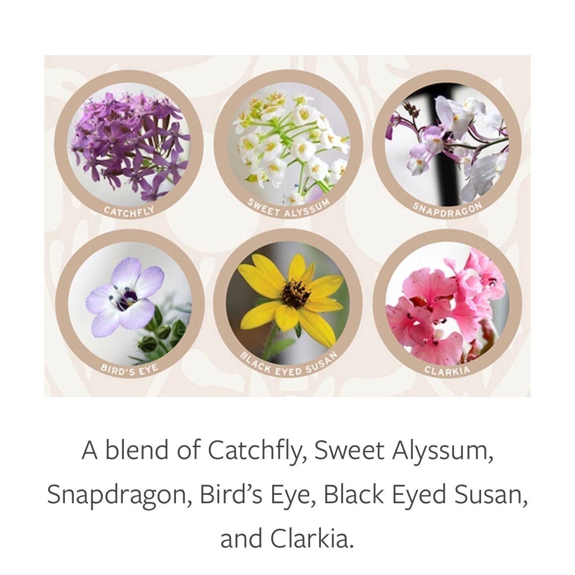 Flowers For Mom Plantable Greeting Card