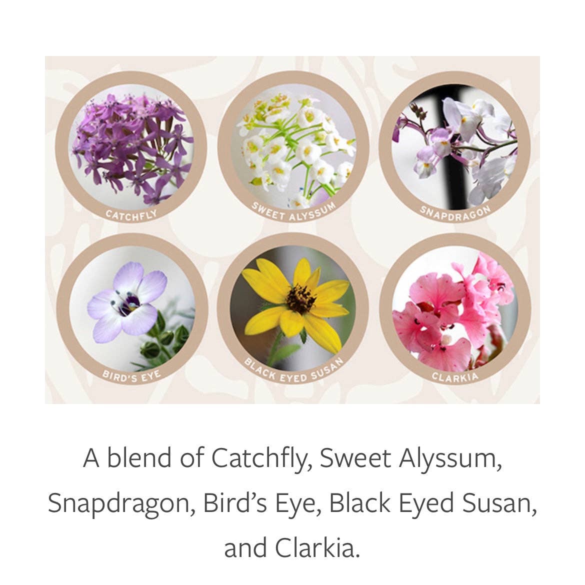 Table Of Fathers Plantable Greeting Card