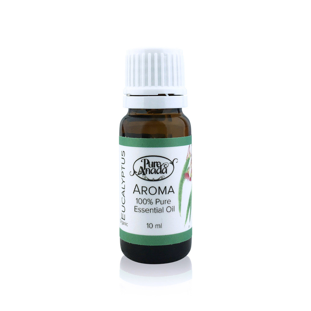 Aroma Eucalyptus Essential Oil (Organic)