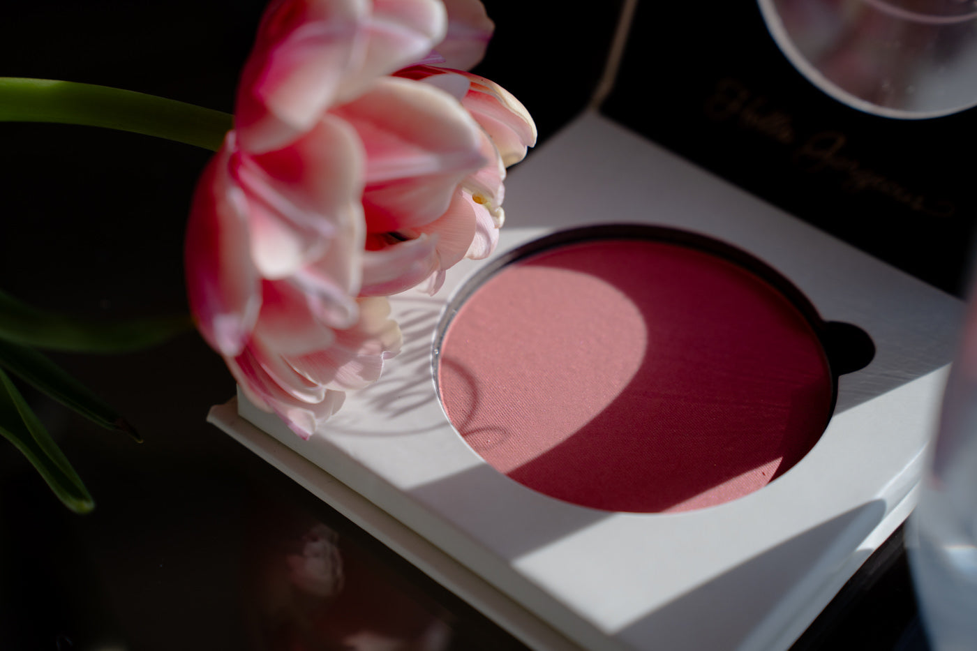 Pressed Blush - Tulip Bloom