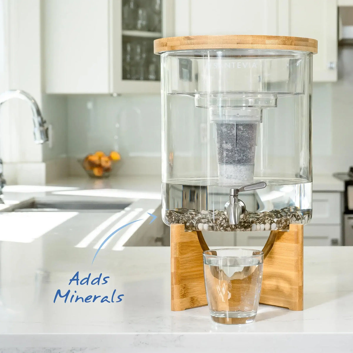 Santevia - Glass Water System w/MINA Fluoride Filter