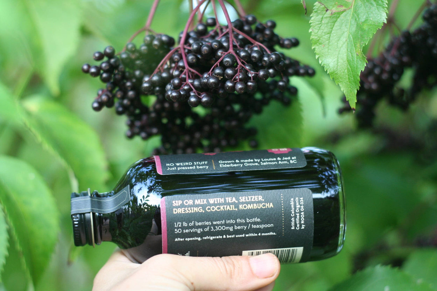Elderberry Syrup, Certified Organic
