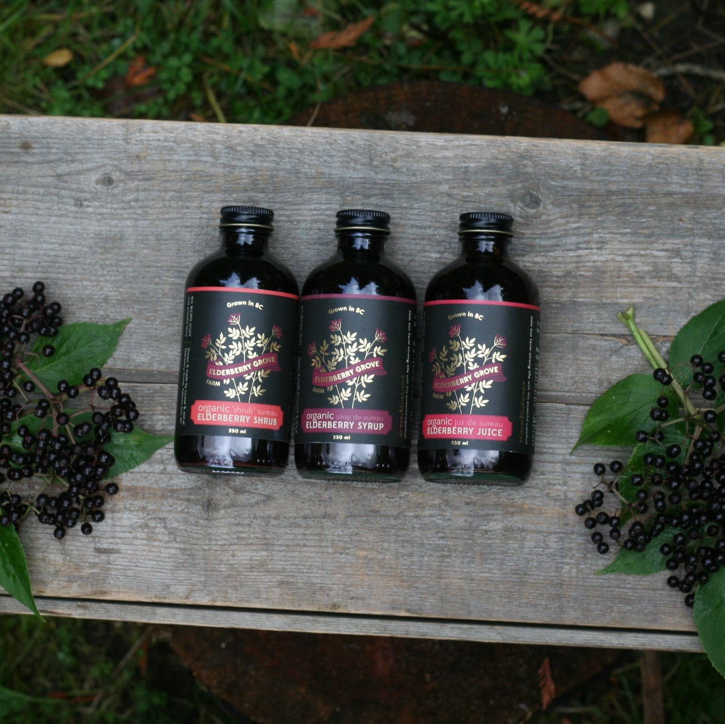 Elderberry Syrup, Certified Organic