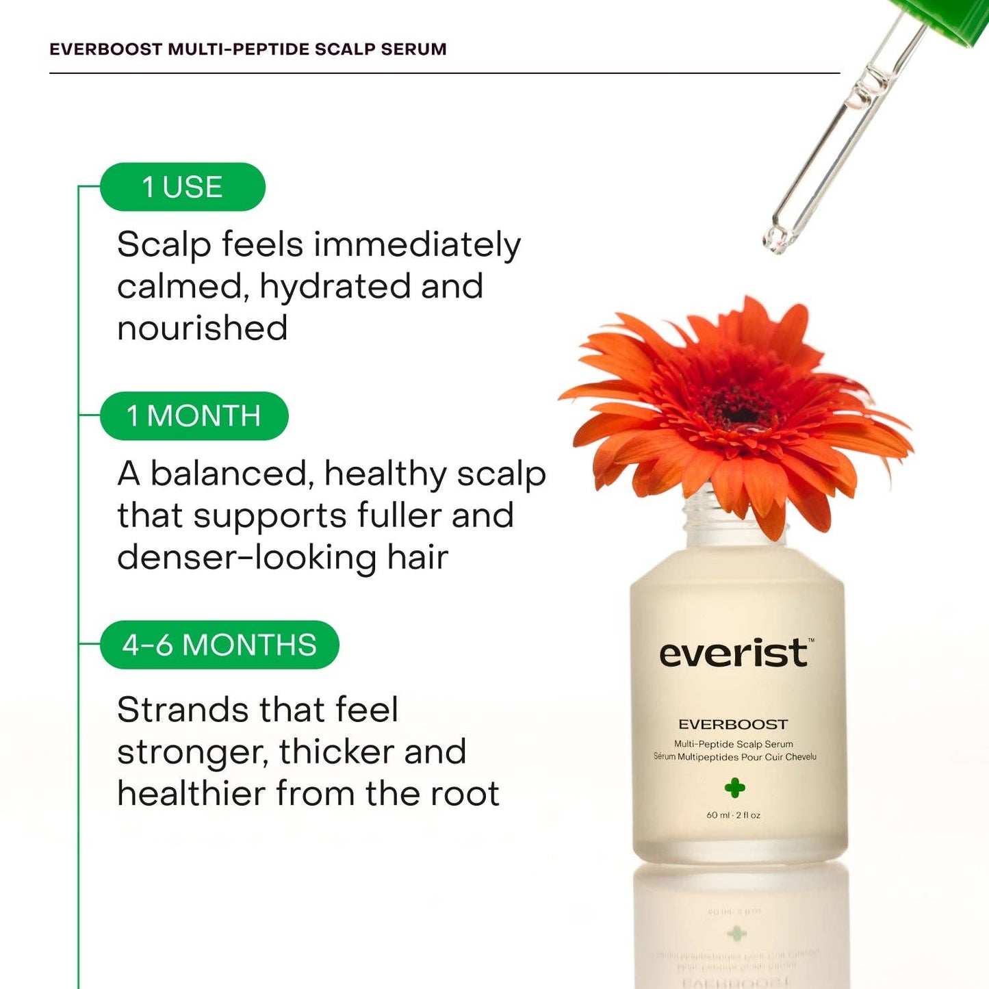 Scalp Serum | EverBoost for Dry and Brittle & Thinning Hair