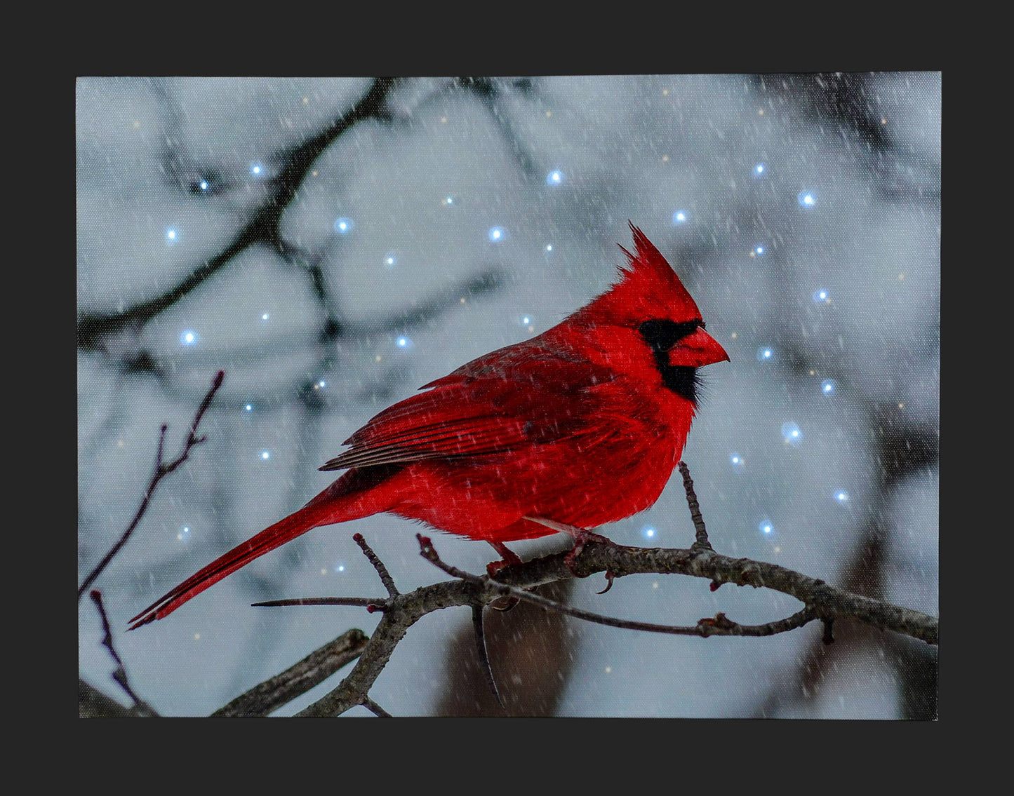 16x12" Canvas w/Cardinal On Branch & LED Lights