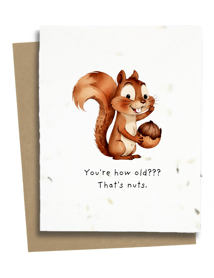 Squirrel Birthday Card