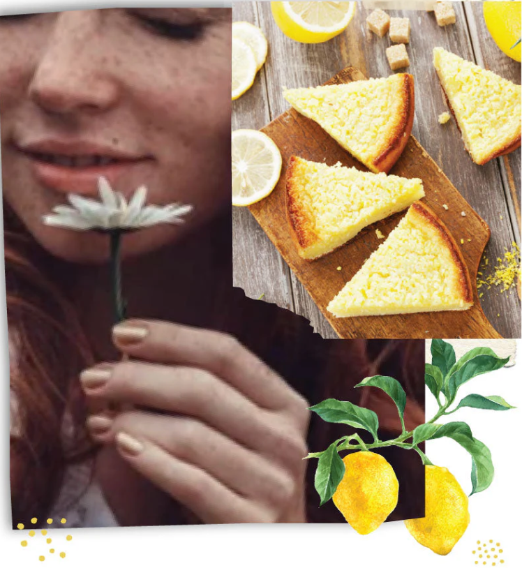 Lemon Freckle | Mini Shea & Mango Butter Hand Repair Balm
