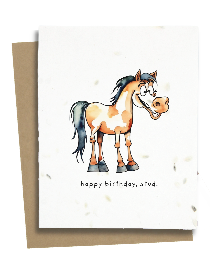 Happy Birthday Stud Horse Card