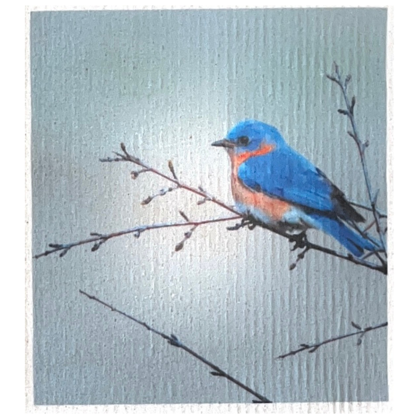 Swedish dishcloth Bluebird