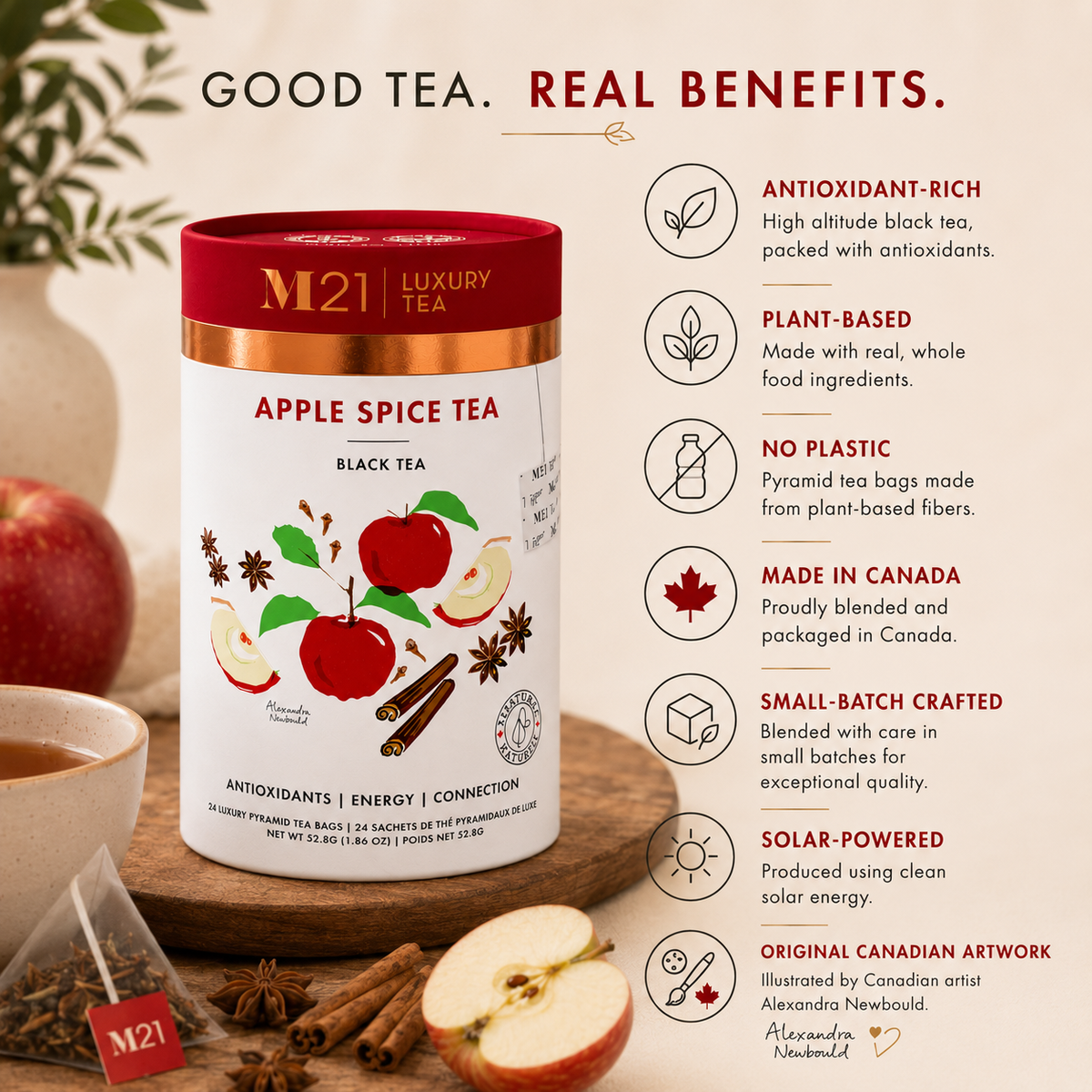 Tega Organic Tea - Apple Spice Luxury Black Tea | Canadian | 24ct