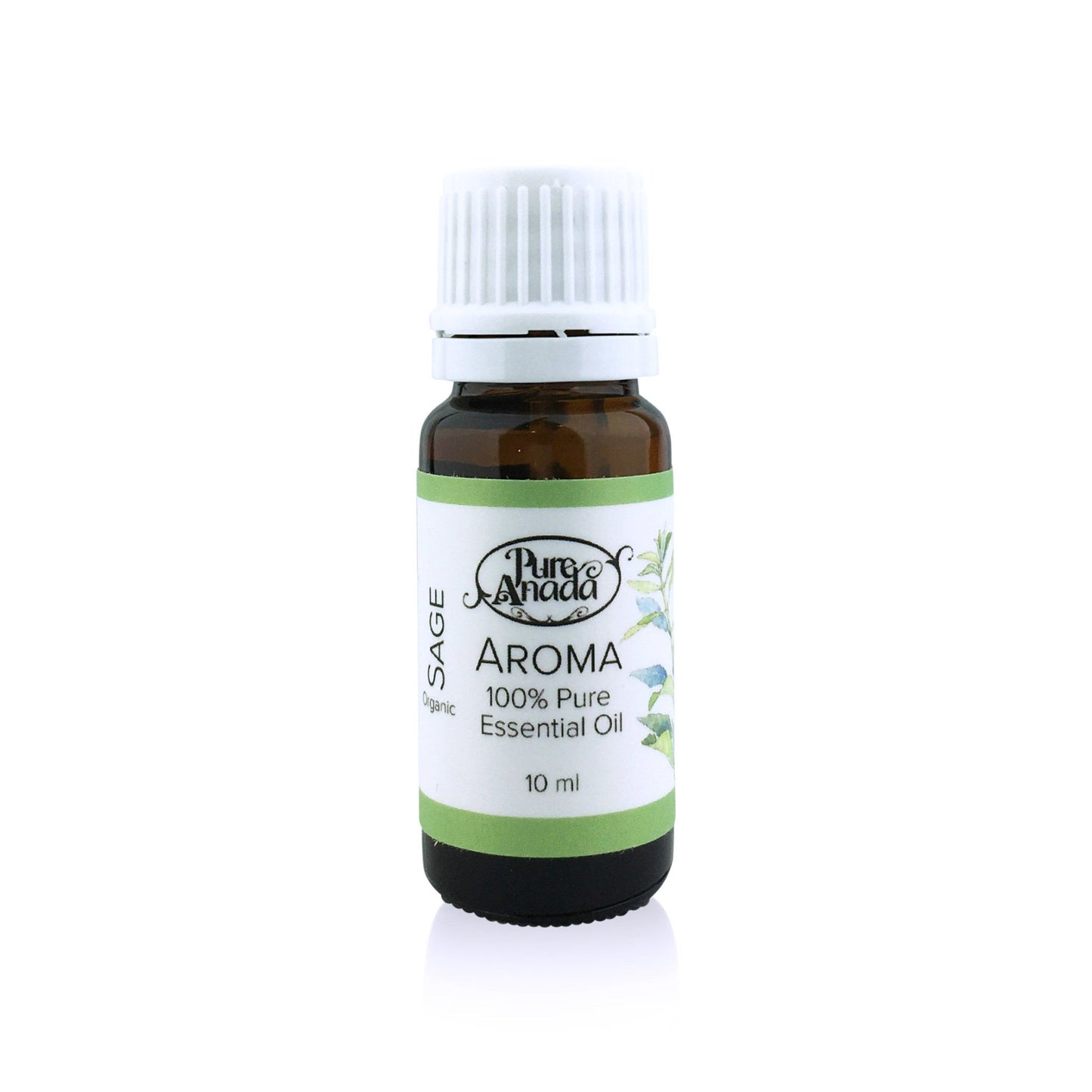 Aroma Sage Essential Oil (Organic)