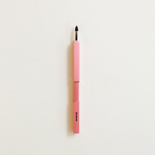 Brush Retractable Lip